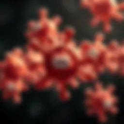 Molecular structure of CoQ10