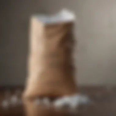 Paper-Based Trash Bag