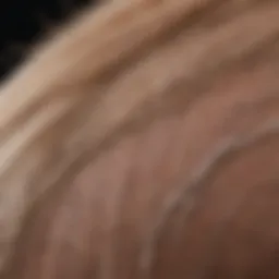 Close-up of hair follicles showing regeneration.