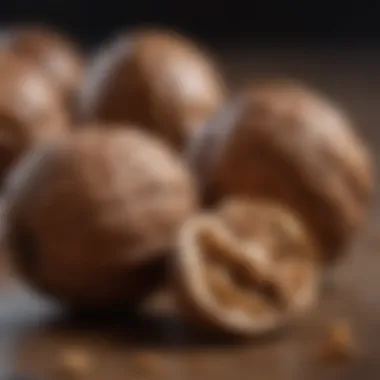 Artistic composition showcasing the protein content in walnuts