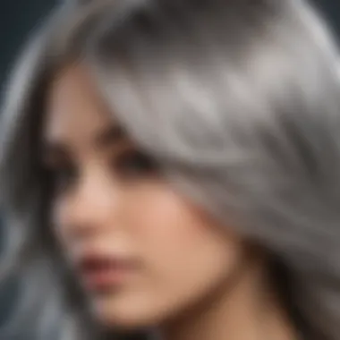 Diverse hair types with silver hues represented