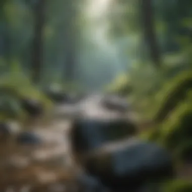 Nature Sounds Relaxation Nature Sounds Relaxation
