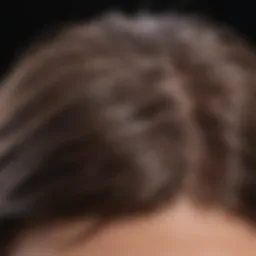 Close-up of a healthy scalp with nourished hair strands