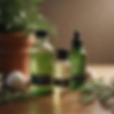 Tea tree oil bottle surrounded by various skincare products