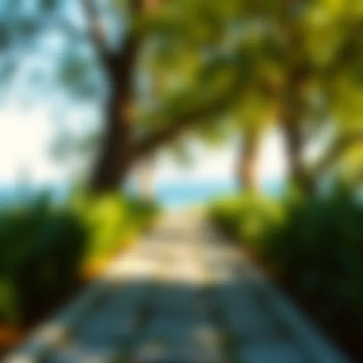 A serene setting conveying tranquility and wellness
