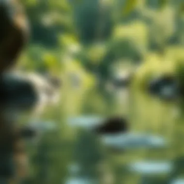 The Importance of Clean Water Sources A serene natural water source highlighting the importance of clean water