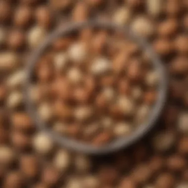 Vital Nuts and Seeds A close-up of a bowl of mixed nuts and seeds, sources of essential fatty acids and minerals