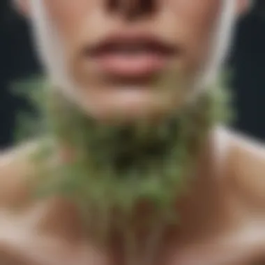 Scientific Illustration of Candida Overgrowth An infographic illustrating the scientific aspects of Candida overgrowth and the diet's impact on gut health.