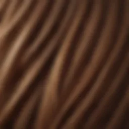 Close-up view of healthy strands of hair showcasing natural shine and texture