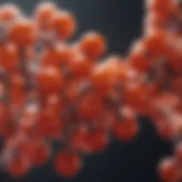 Illustration of quercetin complex molecular structure