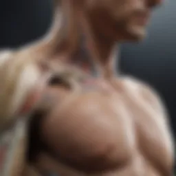Anatomical diagram illustrating shoulder joint structure