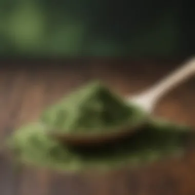 A close-up view of a spoonful of a green superfood powder, emphasizing its rich nutrients.