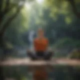 Illustration depicting a serene meditation scene