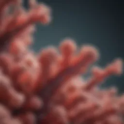 Illustration depicting UTI causing bacteria and urinary tract