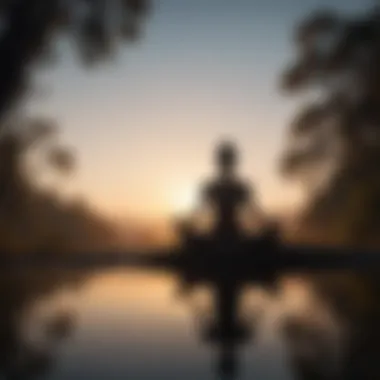 Zenith of Mindfulness Silhouette of a person meditating in a serene natural setting